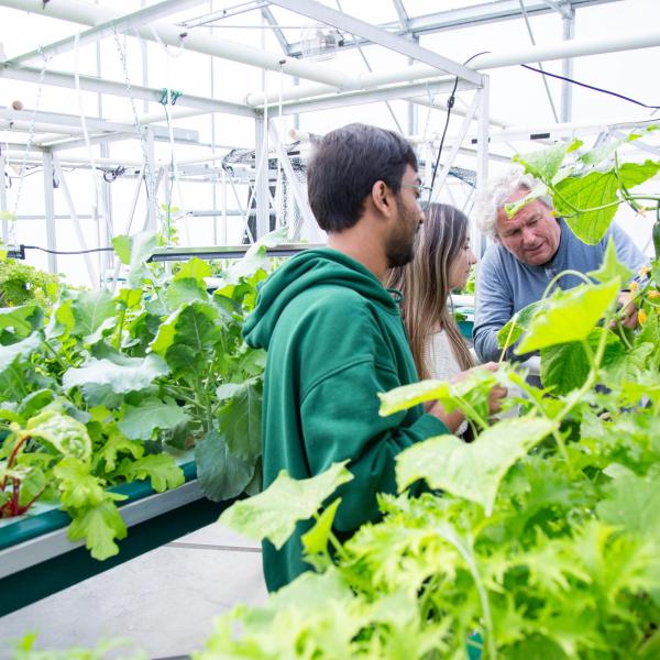 VIU students in aquaponics greenhouse