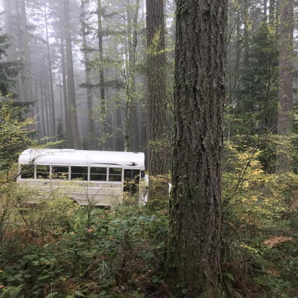 White bus in a forest.