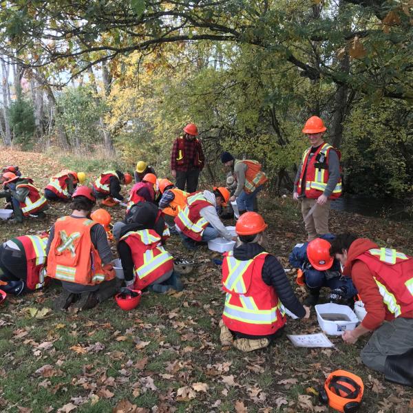 A group of students in safety gear working in a forest clearing. 