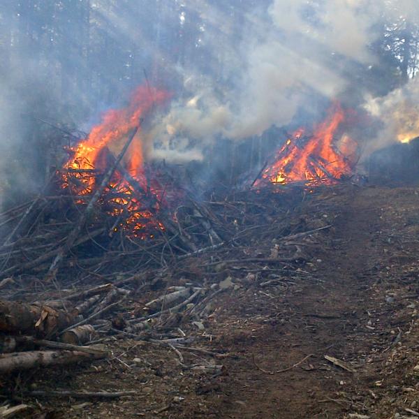 pile burning